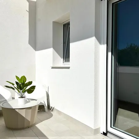 Crisalide A Mare Bari