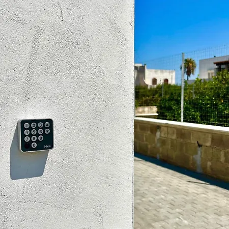 Crisalide A Mare Bari