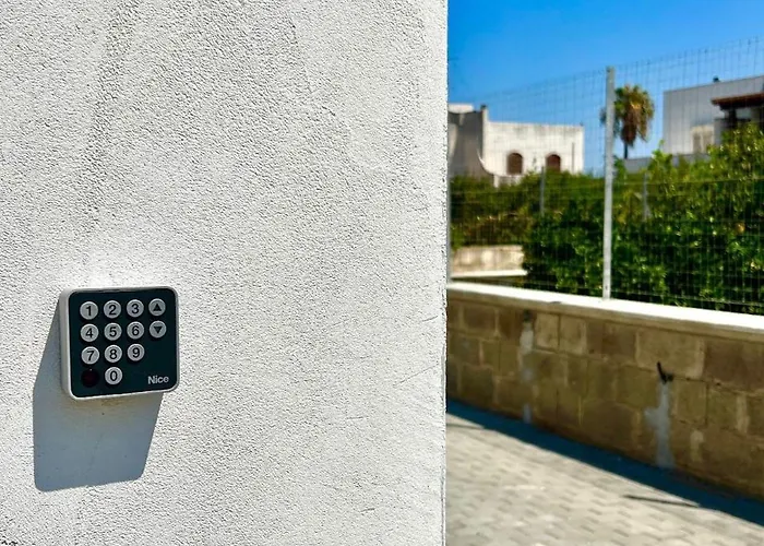 Crisalide A Mare Bari